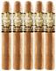 5 Vegas Gold Robusto - 5 Pack