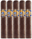 601 Blue Label Box Pressed Maduro Robusto - 5 Pack