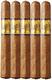 Acid Earthiness - 5 Pack