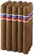 Flor de Oliva Churchill