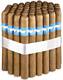 Nicaraguan Primeros Regionals Churchill