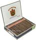 Punch Double Corona Maduro